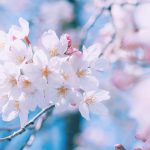 [妊娠4週・5週〜]妊娠超初期の症状・兆候リアル記録[妊娠初期の特徴]